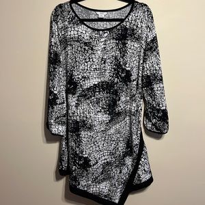EUC 2X tunic top